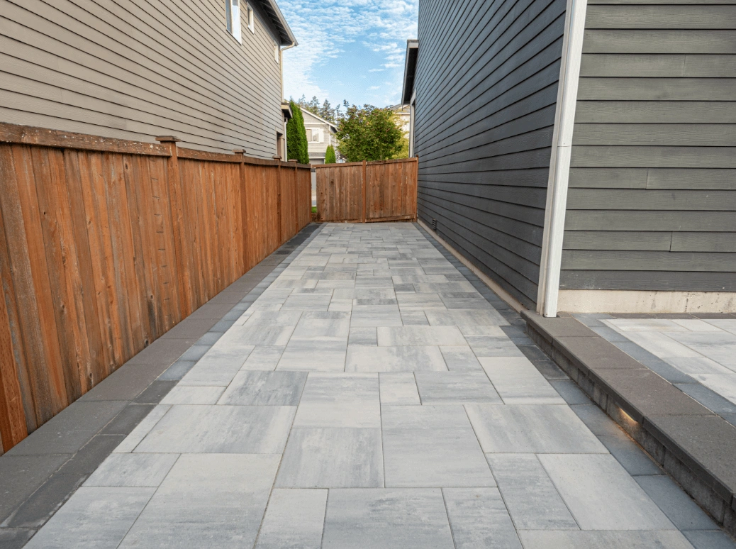 Elis Olympia 2024 135 1@2x