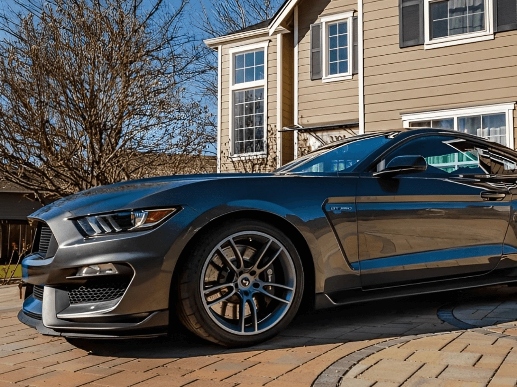 486385357 1081750047301071 8574044923027885044 n (1)